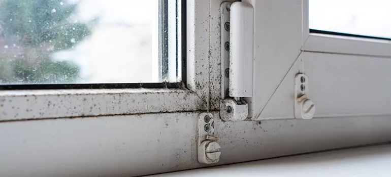 Vero Beach South, FL